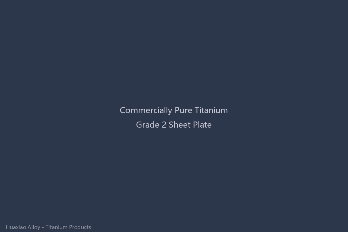 Commercially pure Grade 2 titanium sheets and plates with mill finish surface, commonly used for chemical processing equipment, heat exchangers, and architectural cladding requiring maximum corrosion resistance